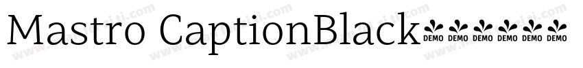 Mastro CaptionBlack字体转换